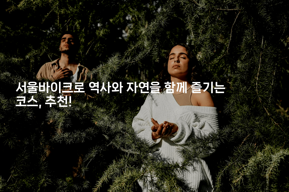 서울바이크로 역사와 자연을 함께 즐기는 코스, 추천!
-힐링달