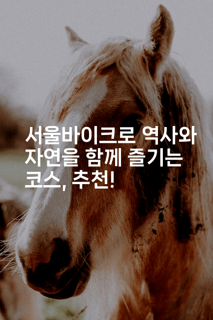 서울바이크로 역사와 자연을 함께 즐기는 코스, 추천!
2-힐링달