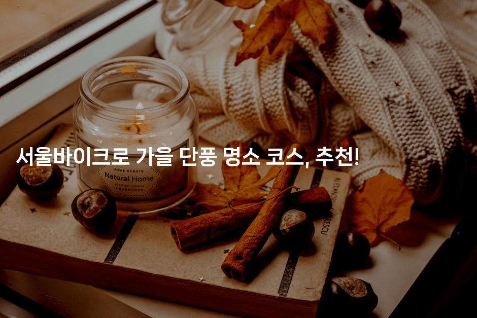 서울바이크로 가을 단풍 명소 코스, 추천!
-힐링달