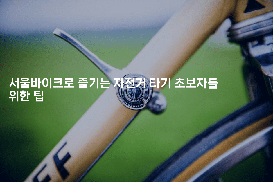 서울바이크로 즐기는 자전거 타기 초보자를 위한 팁
2-힐링달