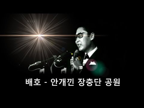 배호~안개낀 장충단 공원 (67) 1971 최후녹음