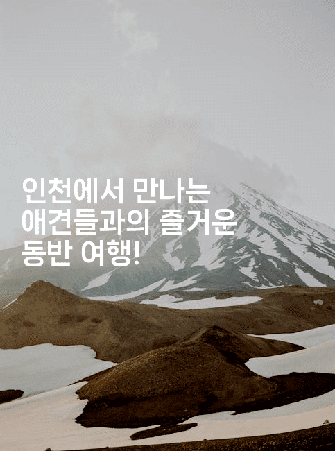 인천에서 만나는 애견들과의 즐거운 동반 여행!2-힐링달