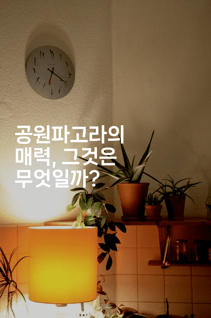 공원파고라의 매력, 그것은 무엇일까?-힐링달