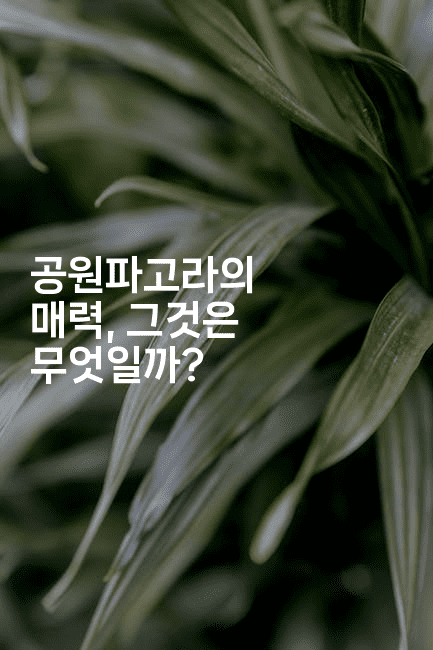 공원파고라의 매력, 그것은 무엇일까?2-힐링달