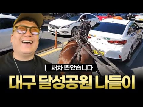 [판슥] 슈퍼카 페라리 뽑았습니다 (Feat.달성공원 & 두류공원)
