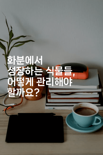 화분에서 성장하는 식물들, 어떻게 관리해야 할까요?2-힐링달