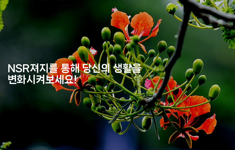 NSR져지를 통해 당신의 생활을 변화시켜보세요!2-힐링달