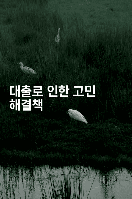 대출로 인한 고민 해결책-힐링달