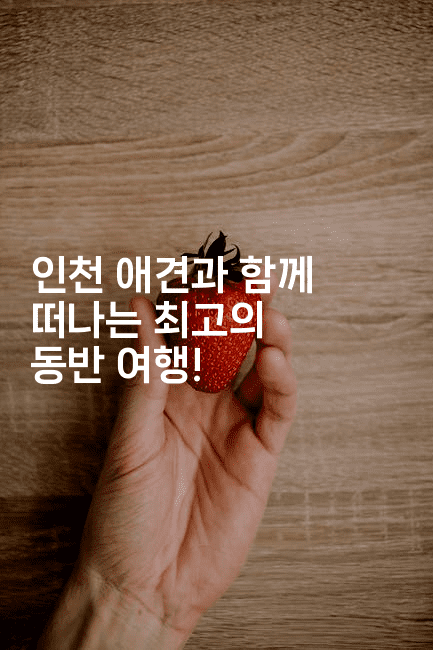 인천 애견과 함께 떠나는 최고의 동반 여행!