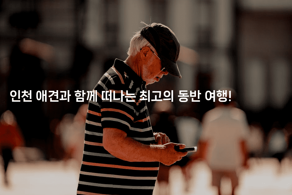 인천 애견과 함께 떠나는 최고의 동반 여행!2-힐링달