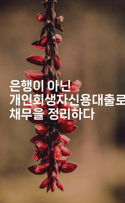 은행이 아닌 개인회생자신용대출로 채무을 정리하다-힐링달