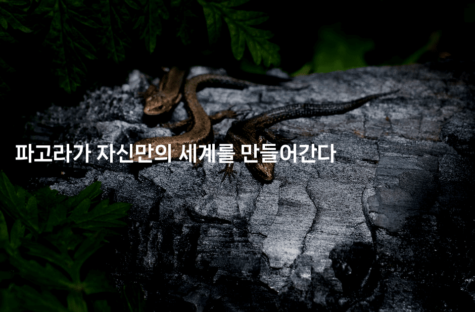 파고라가 자신만의 세계를 만들어간다 2-힐링달