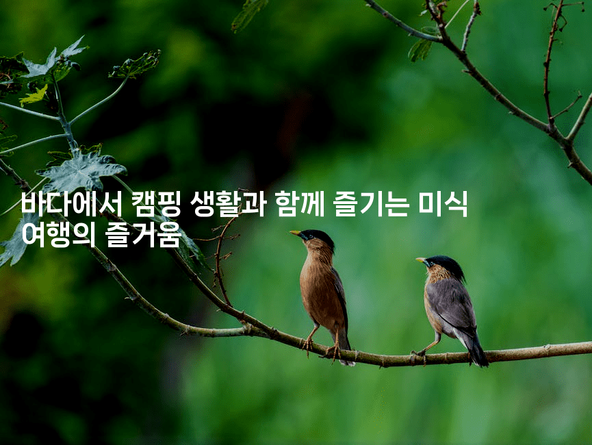 바다에서 캠핑 생활과 함께 즐기는 미식 여행의 즐거움