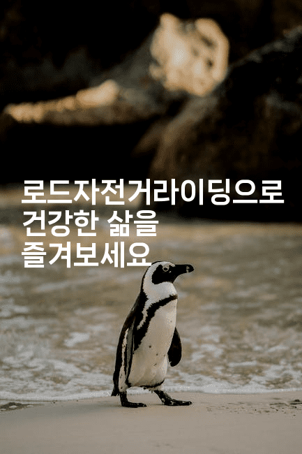 로드자전거라이딩으로 건강한 삶을 즐겨보세요2-힐링달