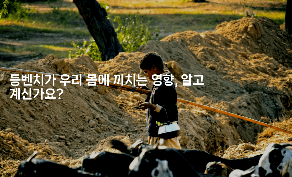 등벤치가 우리 몸에 끼치는 영향, 알고 계신가요?