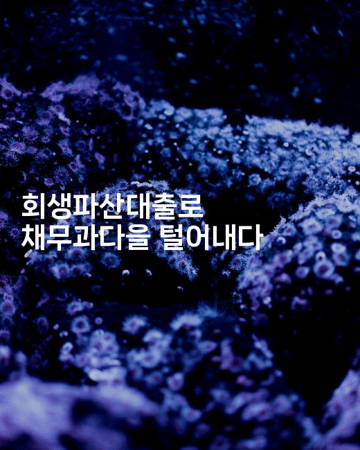 회생파산대출로 채무과다을 털어내다-힐링달