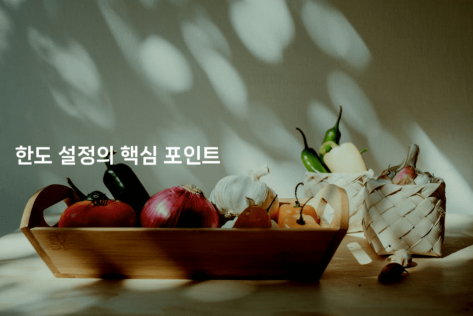 한도 설정의 핵심 포인트