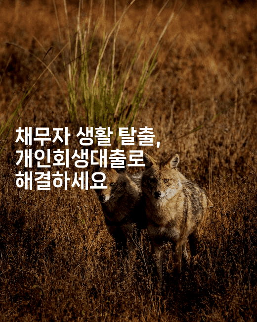 채무자 생활 탈출, 개인회생대출로 해결하세요-힐링달